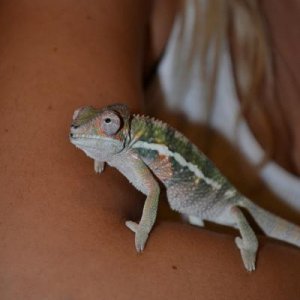 DSC 0070