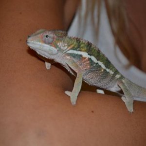 DSC 0072