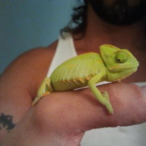 2.5 months old