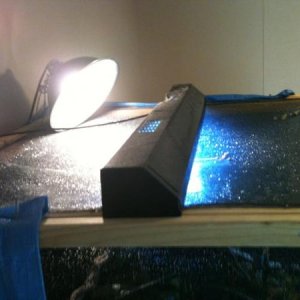 The top / Lighting system, 60 watt heat light and a 2ft UVB light