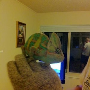 IMG 1201