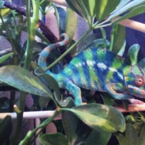Hermes at six months