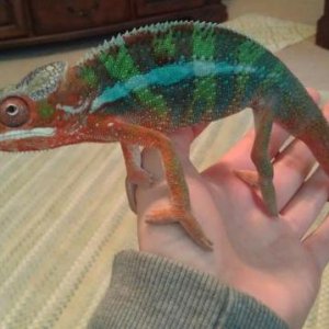 my newest :)