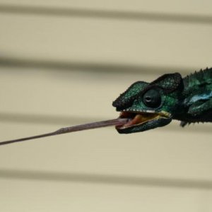 IMG 7205