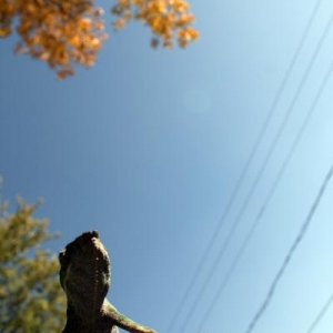 IMG 7329