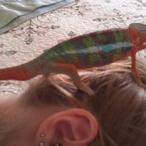 just being curious!