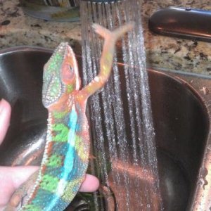 tried to grab the water!