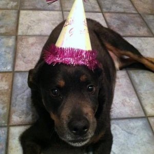 it really wasn't his birthday :(