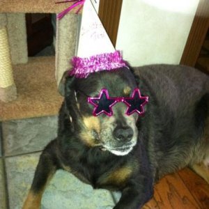 he wanted his shades!