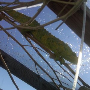 getting sum rays after a nice shower