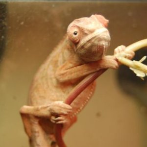 Dave chillin