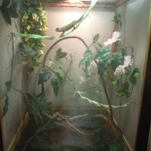 Pascal's cage as of mid October '11
(Phase III)