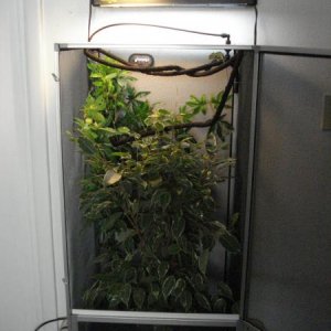 Screen enclosure
