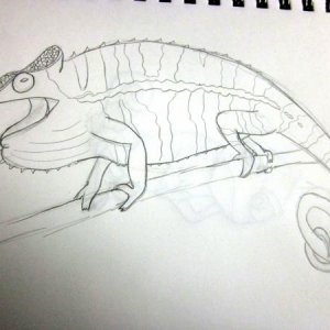a free handed drawing of xerxis, the red bar ambilobe from screameleons :)