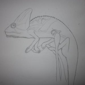Hoj's lineart :)