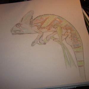 hoj's lines colored :) didnt turn out as well as i expected it to, experimented with a new method of blending...used the wrong colored pencils XD but
