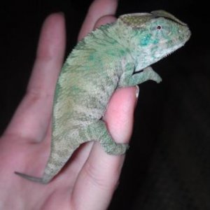 first day i brought him home