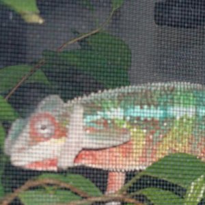 DSC02723