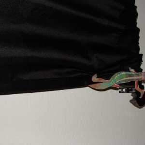 DSC02732