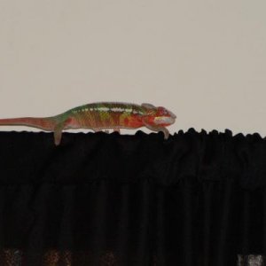 DSC02742