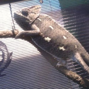 Photo0094