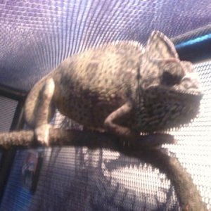 Photo0096