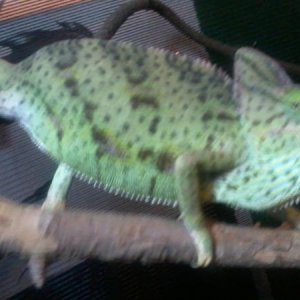 Photo0097