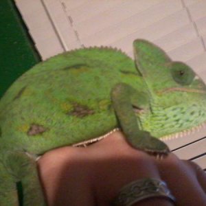 Photo0100