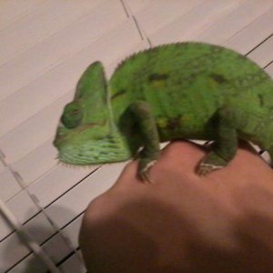 Photo0101