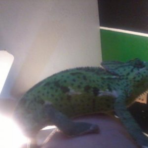 Photo0108