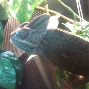 Photo0113