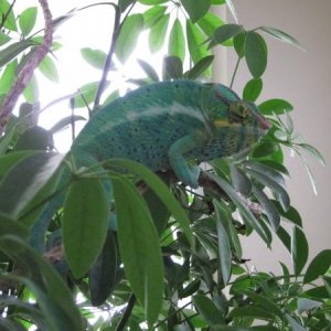 IMG 0118 (1)
