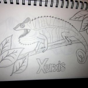 xerxis :D