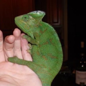 clair sitting on my hand