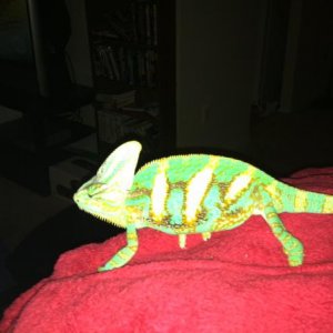 photo (29)