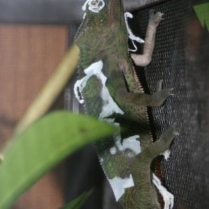 IMG 8958