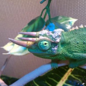 What you looking at!?