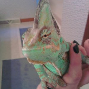 He loves the camera, literally
