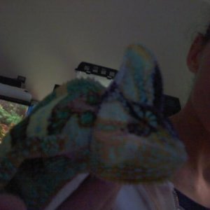 Picture 025