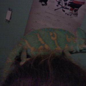 Picture 041