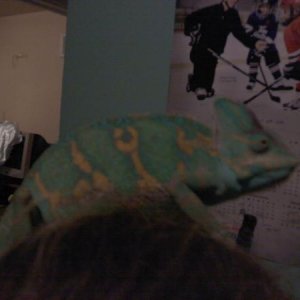 Picture 040