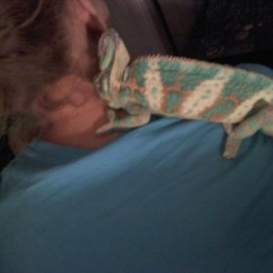 asleep on my shoulder
