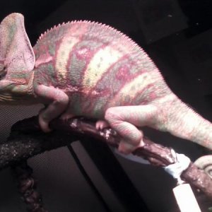 Getting big!