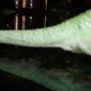 DSCF0376