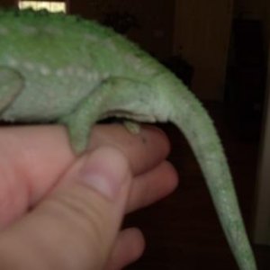 DSCF0379