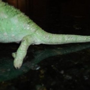 DSCF0377