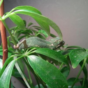 2012 02 11 19.52.22