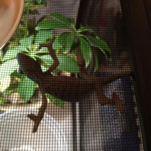 Just hangin.