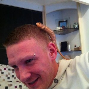 Dusty on Sam's head!