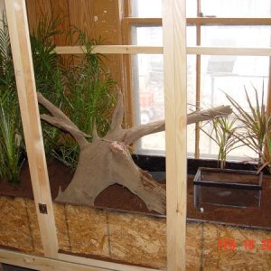 Putting in plants ( the little tank in there is no longer there).